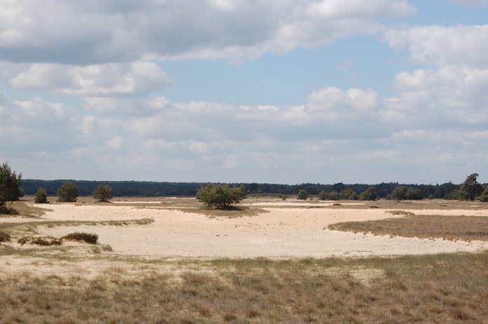DSC 4871