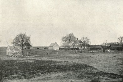 Everwijnserf rond 1900